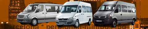Privat Transfer von Barcelona nach Perpignan mit Minibus
